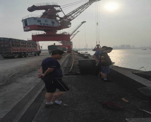 市交通运输局赴岳阳港、常德港考察学习码头建设与管理经验