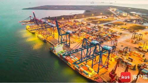 新海南财经观察丨战略风口叠加政策红利 中国500强民企争相布局儋州洋浦码头